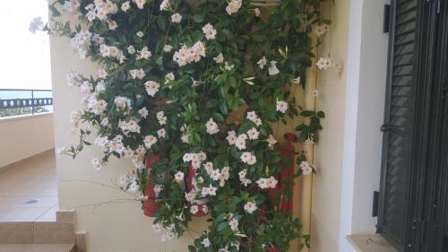 Poulithra Apartment | Hotel Patelis