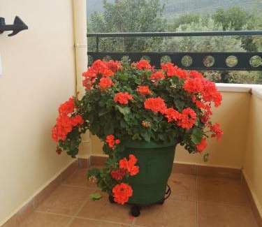 Poulithra Apartment | Hotel Patelis
