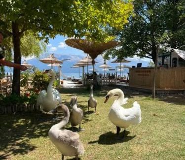 Pogradec Hotel | Hotel Restorant Binjaket