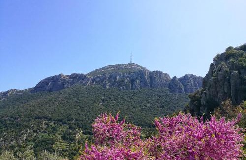 Dorgali Hotel | Hotel Sant'elene