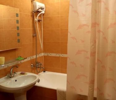 Kyiv Apartment | Hotel Service Predslava on Antonovicha street