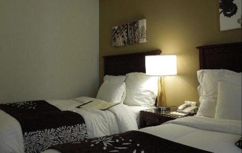 Eforie Sud Hotel | Hotel Splendid