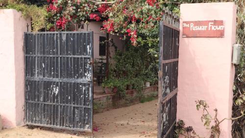 Pushkar Hotel | HOTEL THE PUSHKAR FLOWER