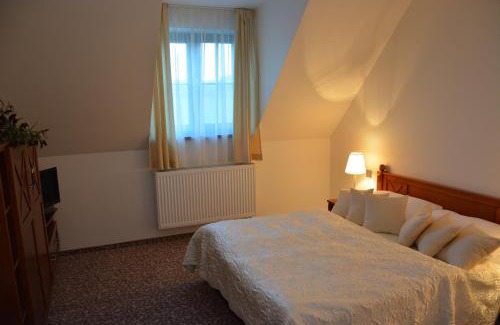 Velka Bystrice Hotel | Hotel Zámek Velká Bystřice