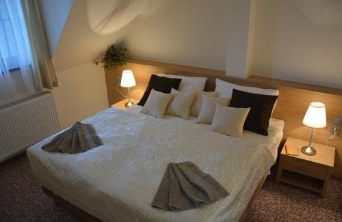 Velka Bystrice Hotel | Hotel Zámek Velká Bystřice