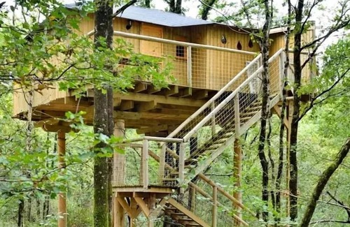 Dienne Cabin | House Dans Les Branches 6 People