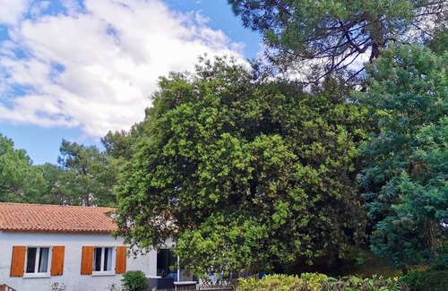 Saint-Georges-de-Didonne House | House 12 pers, 5 min walk from the beach, large garden