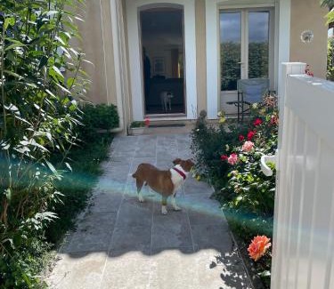 Leuc Bed & Breakfast | House in a rural village surrounded by vinyards