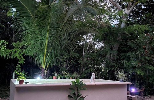 Solferino House | House in the jungle 2 BEDROOMS, EQUIPPED KITCHEN & ALBERCA
