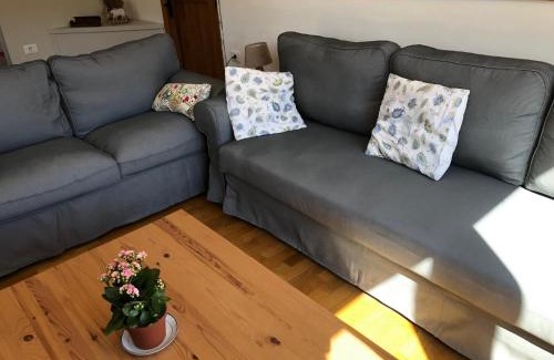 Bovec House | House Jelenko