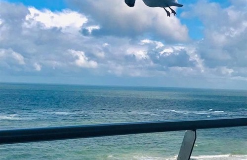 Westerland Apartment | House Metropol App.103 - 1 room apartment with sea view in the house Metropol in