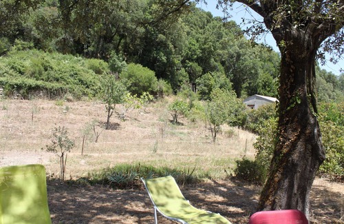 Isolaccio-di-Fiumorbo House | House of character in garden near sea and river