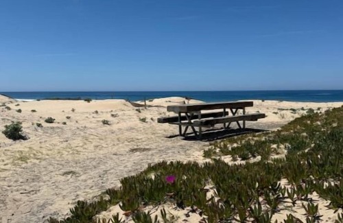 Mimizan House | House on the dune, panoramic ocean view