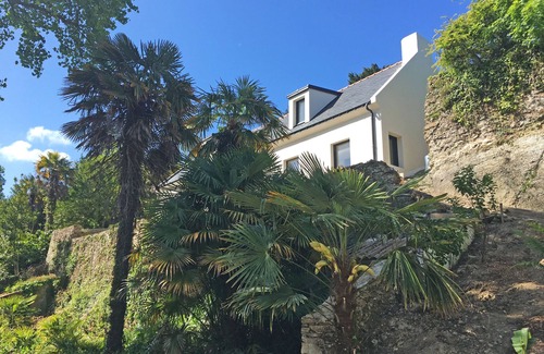 Le Palais House | House Orgo> Villa 150 m2 in garden with palm trees, near the port of Palais