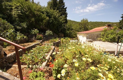 Cove Rogacic House | House Paulo1 (10362-K1) - Vis - island Vis