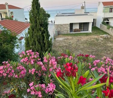 Chrisi Akti House | House Thomi
