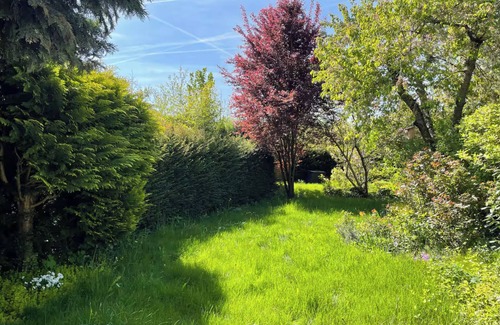 Suedost House | House with garden, close to bus and train stations with plenty of parking spaces