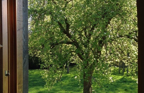 Grangues House | House with garden