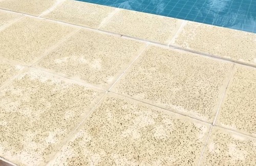 Pontal House | House with Private Beach, Coconut palms, Pool, Sauna ...
