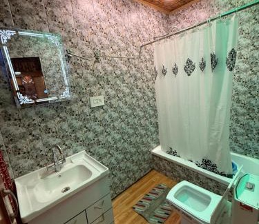 Dal Lake Hotel | Houseboat Patloo Palace