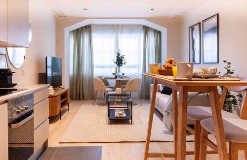 Nueva Espana Apartment | Housing Castellana X X X I V (34) by Sharing Co