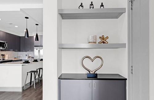 Texas Medical Center Apartment | HoustonLuxe Penthouse Highrise