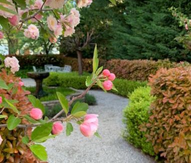 Howlong Bed & Breakfast | Howlong Old Post Office Luxury Suite