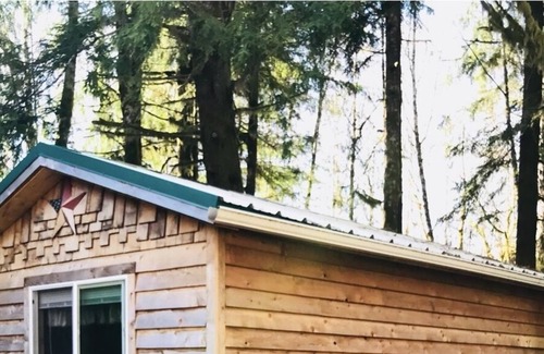 Forks Cabin | Huckleberry Cabin near La Push beaches