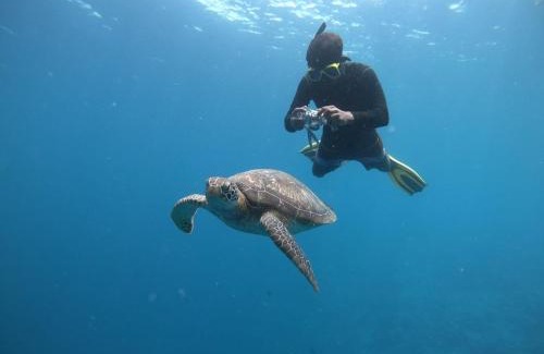 Omadhoo Hotel | Hudhuvelimaldives