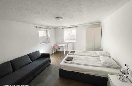 Bezigrad District Apartment | Huge BBQ Garden 1, Basement app Two Bathrooms, AC, Free Parking