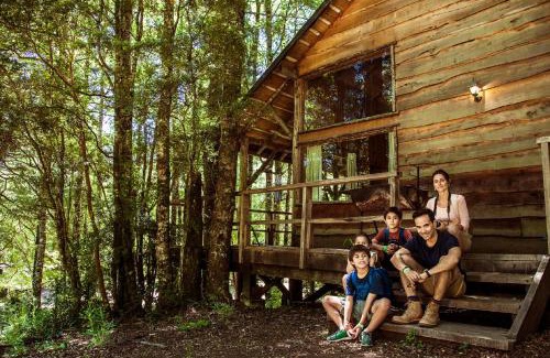 Neltume Cabin | Huilo Huilo Cabañas del Bosque