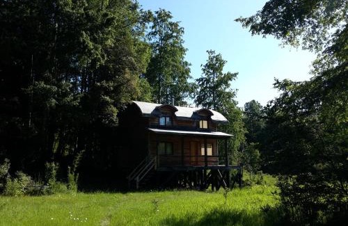 Neltume Cabin | Huilo Huilo Cabañas del Bosque