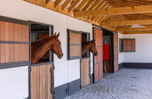 Sint-Kruis House | Huswell - Lady - Lovely double room at ranch De Blauwe Zaal