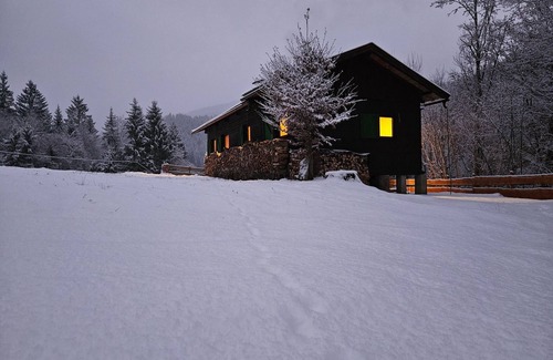 Hopfgarten im Brixental Cabin | Hut "Beizwies", Austria