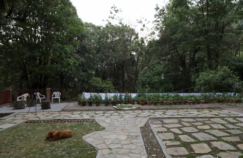 Nainital Cottage | Hutton Cottage By Stay Native By GRB