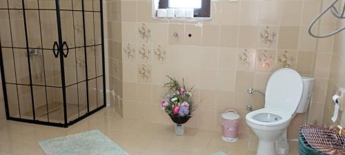 Trabzon Villa | Huzurlu ve doğa ile içiçe