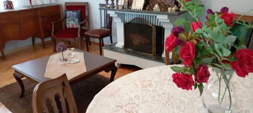 Trabzon Villa | Huzurlu ve doğa ile içiçe