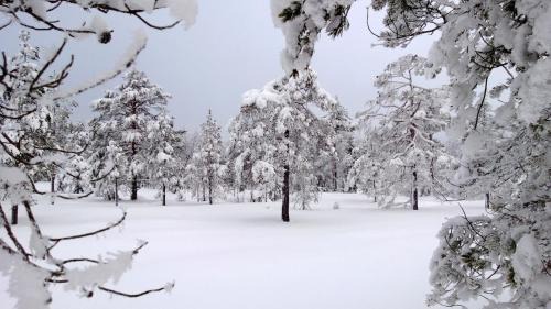 Likenas Ski Chalet | Hytte i Nordlige Varmland ved Branas