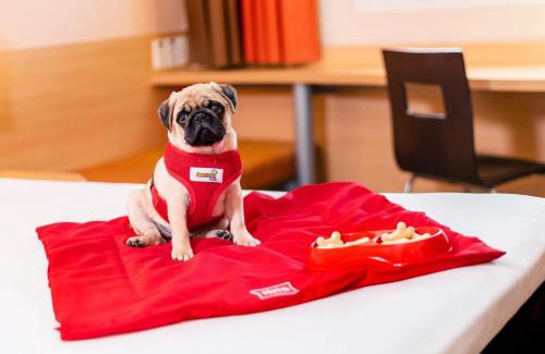 Sao Paulo Hotel | ibis Sao Paulo Interlagos