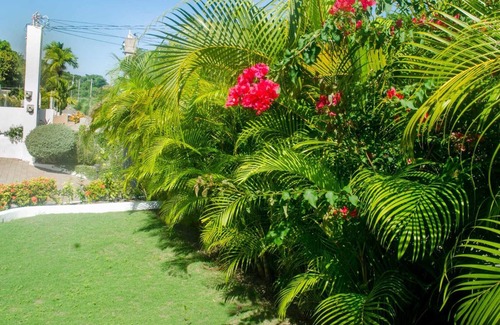Ocho Rios House | Ide A Wile