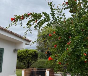 Plamanyola House | Ideal house for two families with pool and barbecue