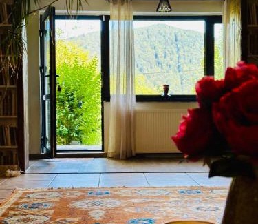 Sinaia Villa | Iepurasul Sinaia