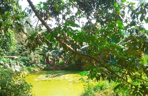 Yaounde Apartment | If you love nature and it's purity then you're at home