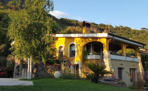 Castel Gandolfo Bed & Breakfast | Il Nido del Falco