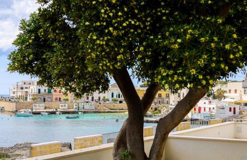 Santa Caterina House | Il Pittosforo by Casa di Marco AP16