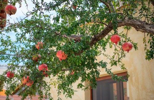 Cabras House | Il tuo Relax