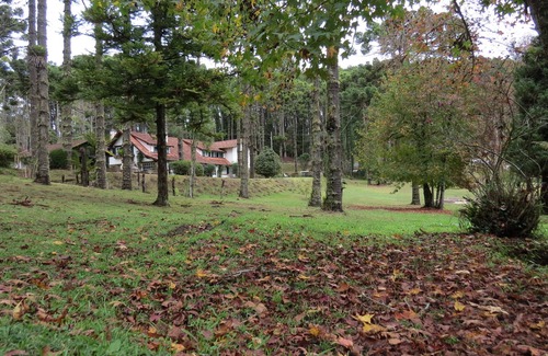 Vila Izabel House | In the heart of the forest, safe and comfortable, a 20-minute walk from Baden-Baden
