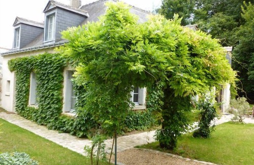 Veretz House | in the heart of a historic village of Touraine, with large garden and grove.