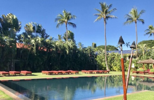 Historic Lahaina Front Street Condo | In the Heart of Lahaina w/ AC, Garden View, shared pools, Aina Nalu B105 Studio