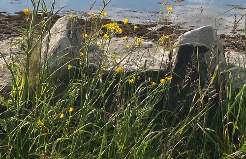 Renvyle House | In the heart of paradise along the wild atlantic way